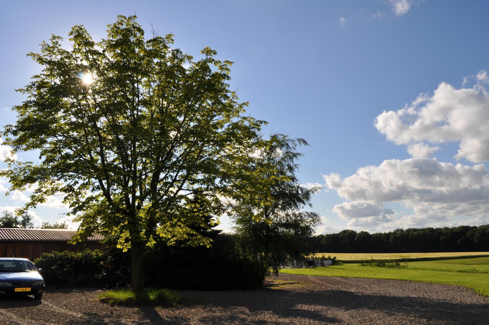 Koebenhovedskov Bed & Breakfast Rodding Bagian luar foto