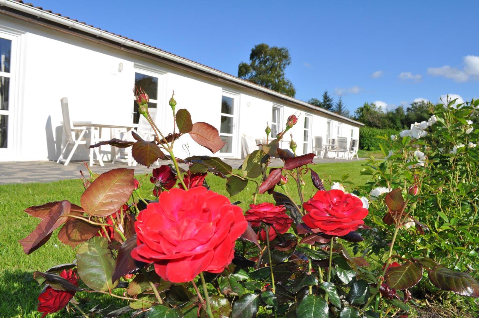 Koebenhovedskov Bed & Breakfast Rodding Bagian luar foto